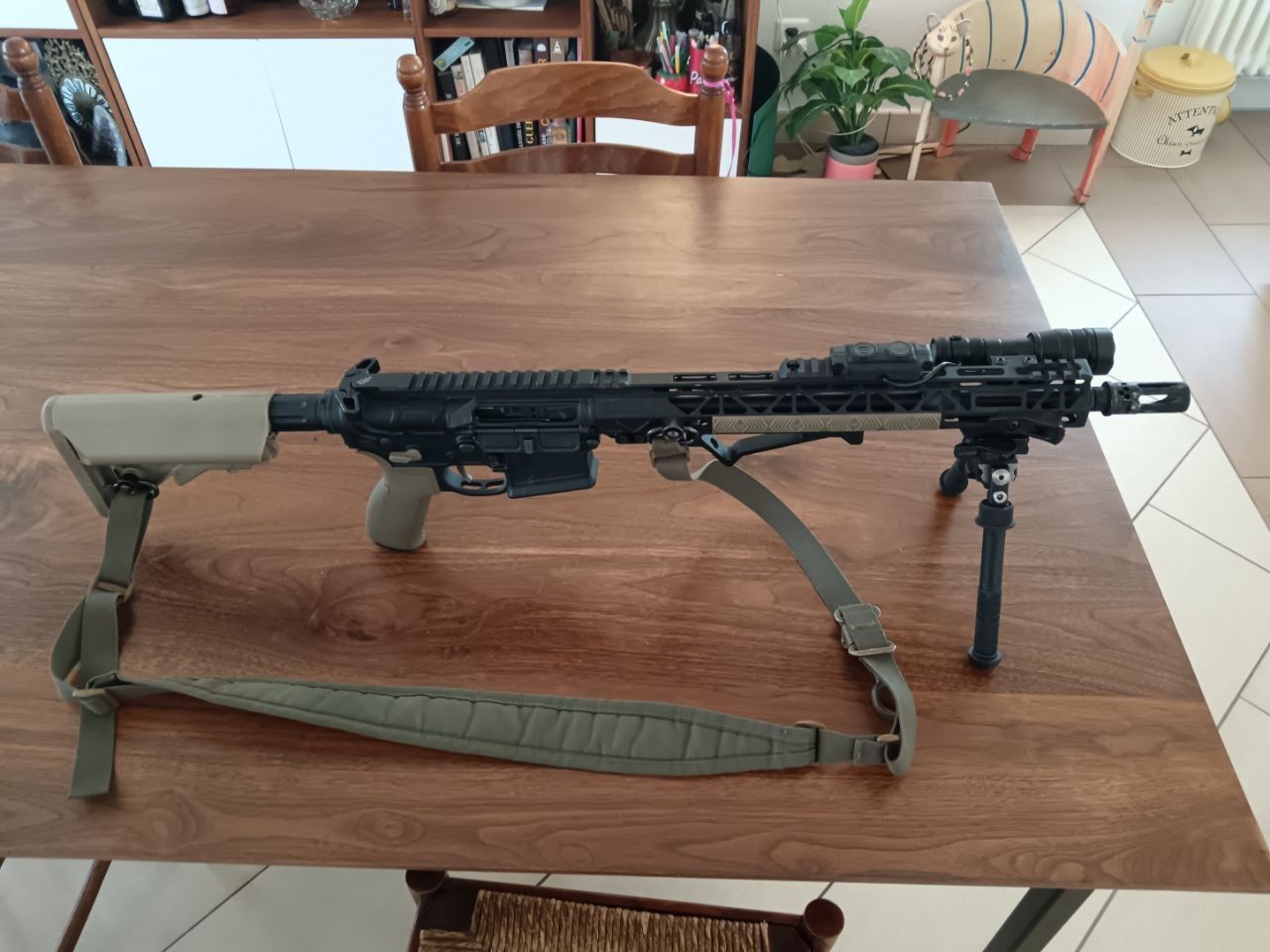 AR-15 Custom